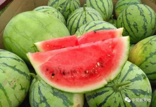 51吃瓜视频今日吃瓜校园吃瓜,今日校园吃瓜大揭秘