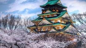 天下第一 日本,探寻日本“天下第一”的传奇魅力