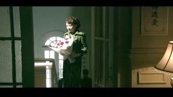 乱世豪情全集在线观看,烽火岁月中的英雄传奇