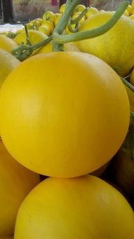 久红瓜图片,色泽诱人，营养丰富的天然美食