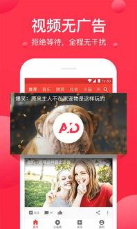 吃瓜视频大全爆料最新下载,独家下载，揭秘娱乐圈幕后风云