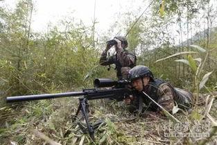 乘盛狙击国语,揭秘现代金融狙击战