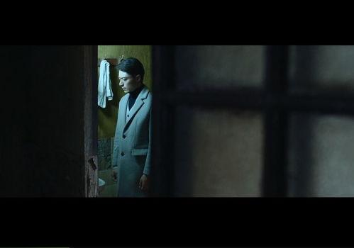 电影鸠占鹊巢在线观看,一场现代版的宫廷争斗