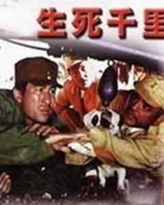 生死千里在线观看