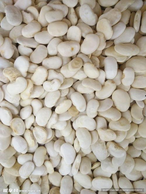 白扁豆图片
