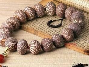 金丝菩提子图片,自然之美与人文之韵的完美融合