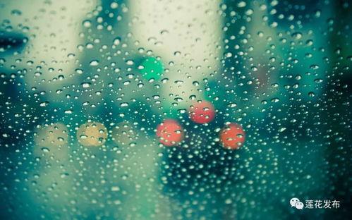 雨的图片,细雨绵绵，诗意盎然