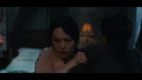 小姐韩国电影完整,韩国电影中的爱情与复仇交织的悲怆史诗