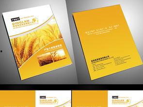 封皮图片大全,探寻视觉艺术的无限魅力