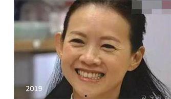 曾宝仪视频,生活点滴中的温馨与感动