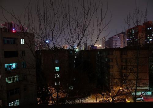 最后一夜韩国,韩国的末世危机与人性抉择