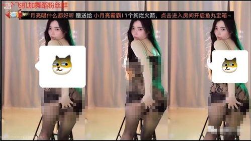 直播露出在线观看,在线观看潮流下的实时互动体验