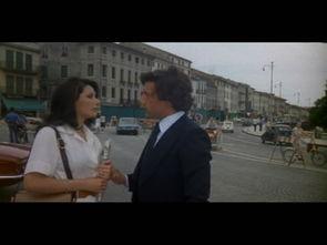 我姐姐是法官在线观看,在线见证司法公正