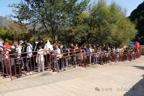 景点排队图片,揭秘热门景点排队盛况