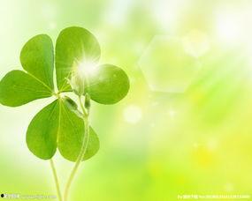 电脑图片背景,探索电脑图片背后的数字世界