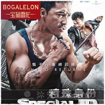 甄子丹真实格斗视频,硬汉格斗瞬间