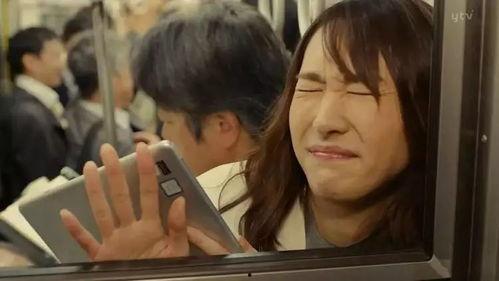 日本黑野,历史、文化与社会变迁