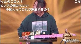 中国人 日本综艺,文化交融下的娱乐盛宴