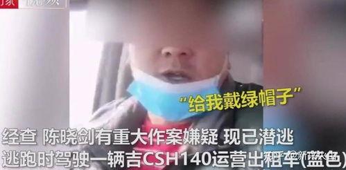 绿帽视频,揭秘现代都市中的情感陷阱与道德困境