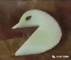 苹果天鹅拼盘图片大全