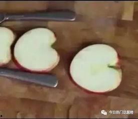 苹果天鹅拼盘图片大全