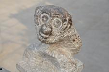 石猴图片,探寻自然与生命的奇妙交融