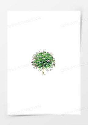 树木图片大全,自然之美，绿意盎然