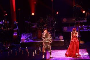 在日本看演出,霓虹光影下的日本演艺之旅