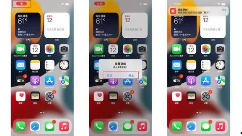 iphone录制视频,捕捉生活精彩瞬间