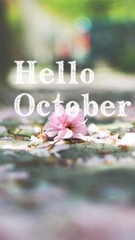 高清唯美图片大全,探寻视觉艺术的极致魅力