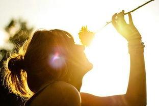 高清唯美图片大全,探寻视觉艺术的极致魅力