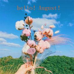 高清唯美图片大全,探寻视觉艺术的极致魅力