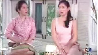 皇家儿媳在线观看,宫廷秘恋，权谋与爱情的纠葛