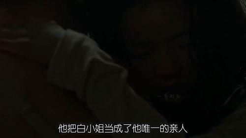 朋友韩国电影解说,跟随朋友脚步，领略异域光影魅力