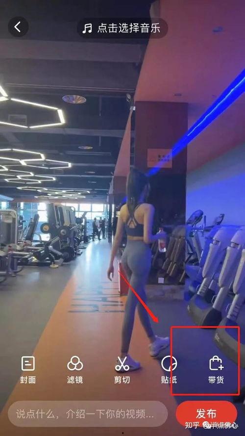 撸  视频,揭秘热门短视频背后的魅力与影响