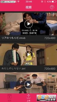 撸  视频,揭秘热门短视频背后的魅力与影响