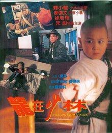 龙在少林高清国语,高清再现武林传奇