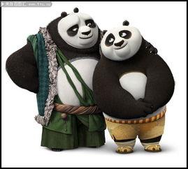 功夫熊猫的图片大全