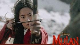 花木兰2电影国语版,传奇再续，勇者归来