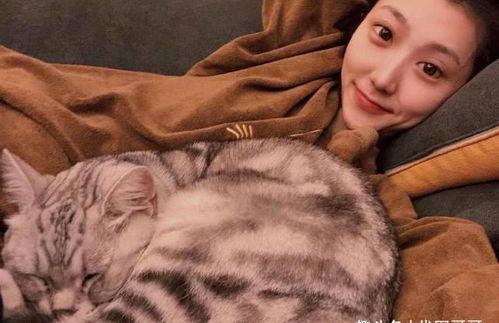 娱乐吃瓜君网红虐猫,娱乐吃瓜君引发社会关注与谴责