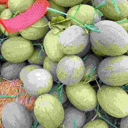 2024北海哈密瓜今日价格行情,品质与价格的完美结合”