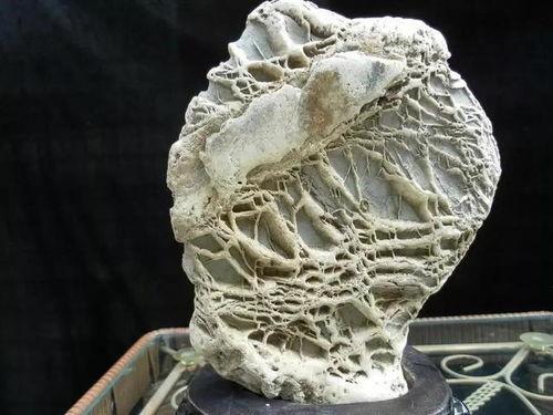 珍贵石头图片大全