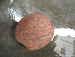 珍贵石头图片大全