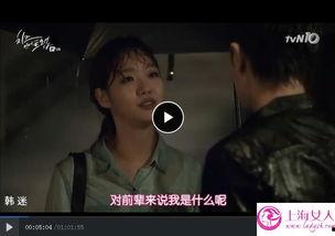 医奴日本视频完整版,日本视频完整版深度解析