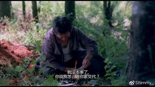 叶落归根在线观看,寻根之旅，情感共鸣的视觉盛宴