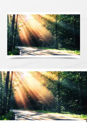 阳光的图片大全,捕捉自然光影之美